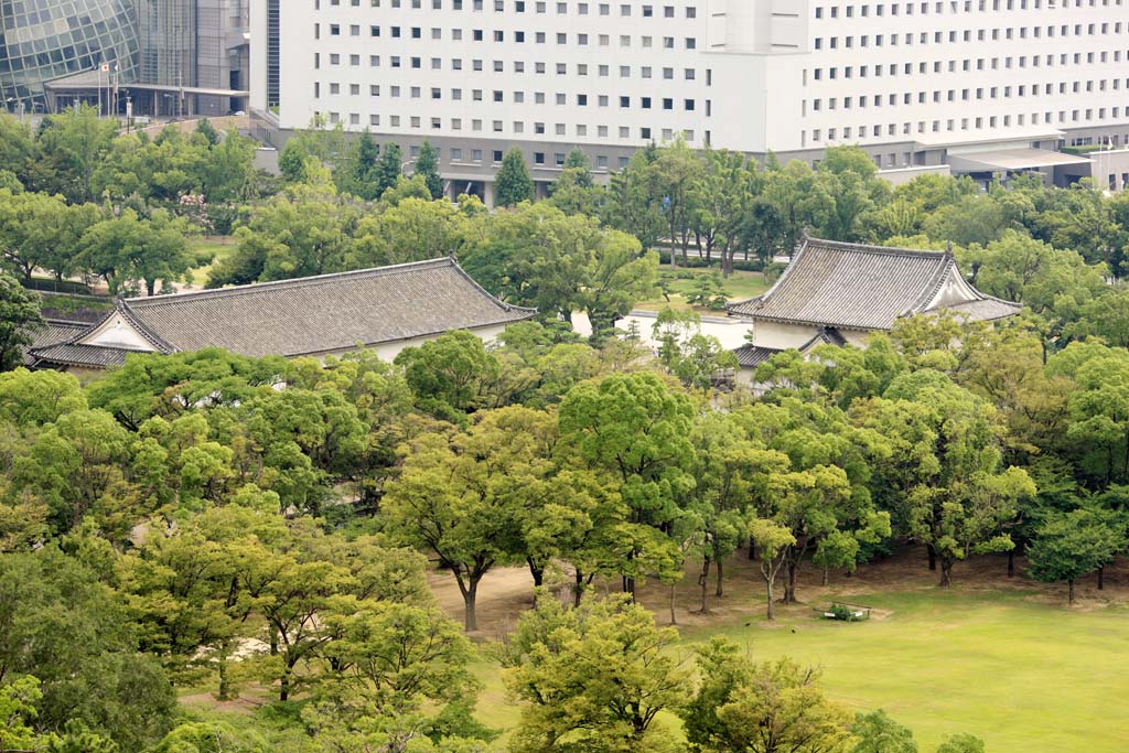 foto,tela,gratis,paisaje,fotografa,idea,Torre de Castillo de Osaka, , , , 