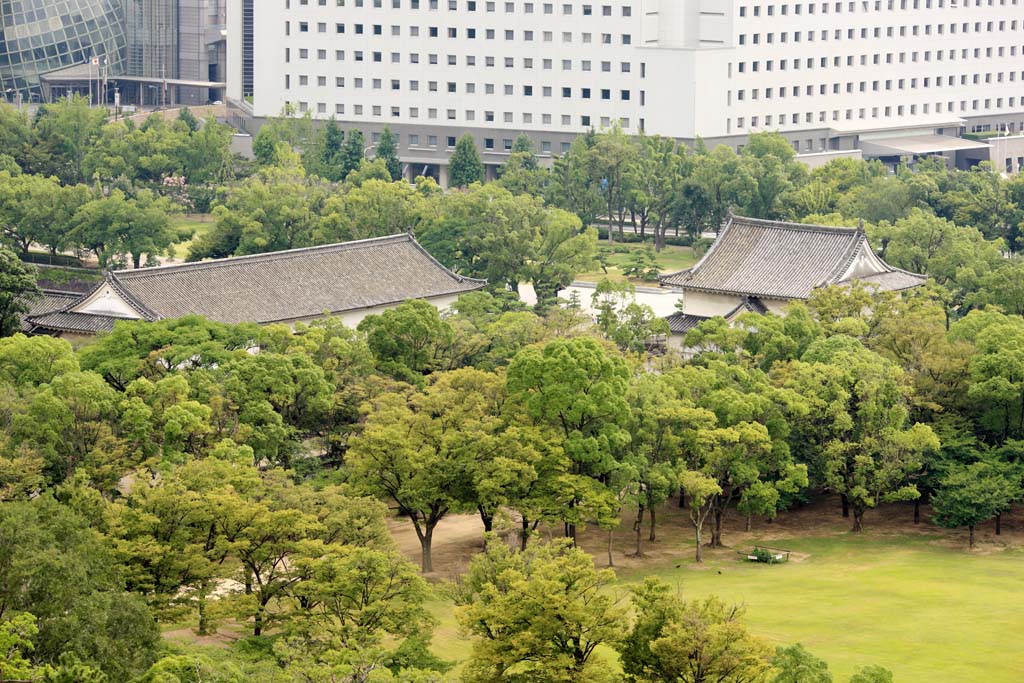 photo,material,free,landscape,picture,stock photo,Creative Commons,Tower of Osaka Castle, , , , 