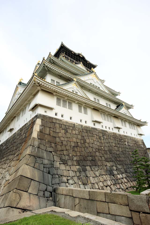 Foto, materieel, vrij, landschap, schilderstuk, bevoorraden foto,Toren van Osaka Castle, , , , 