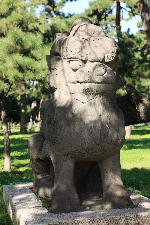 Foto, materiell, befreit, Landschaft, Bild, hat Foto auf Lager,Bild von Zhao Mausoleum (Qing) Tier, , , , 
