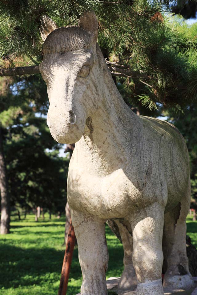 Foto, materieel, vrij, landschap, schilderstuk, bevoorraden foto,Afbeelding van Zhao Mausoleum (Qing) Beast, , , , 