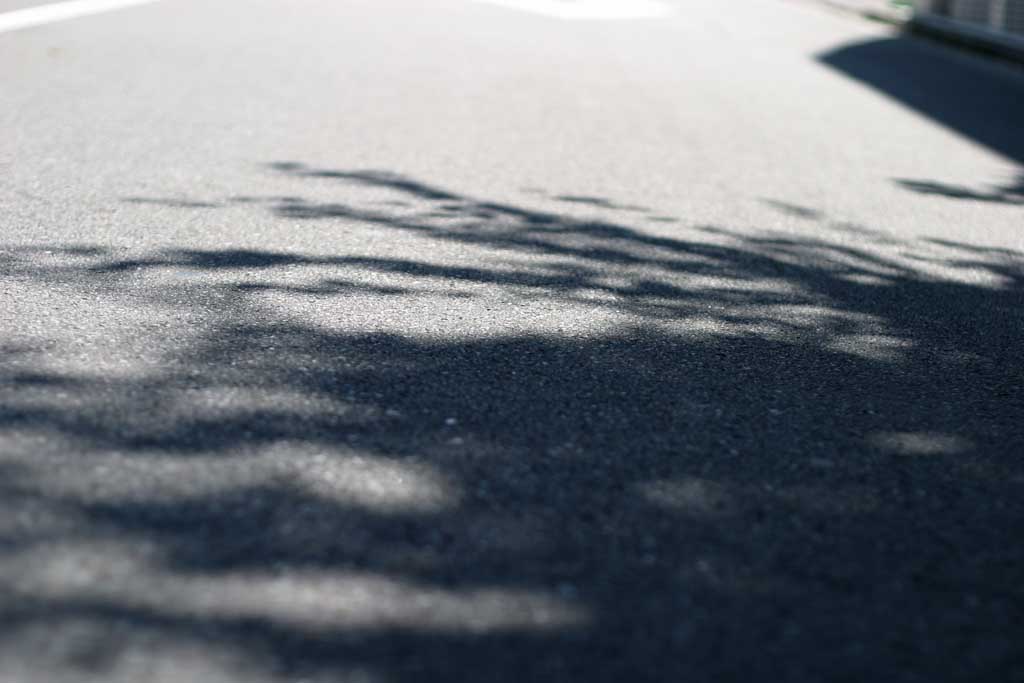 fotografia, materiale, libero il panorama, dipinga, fotografia di scorta,Conforti nell'ombra, asfalto, ombra, , ombra frondosa