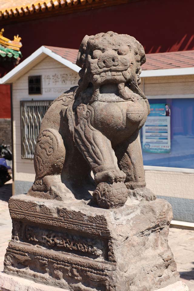 fotografia, materiale, libero il panorama, dipinga, fotografia di scorta,Palazzo Imperiale di Shenyang Lion, , , , 