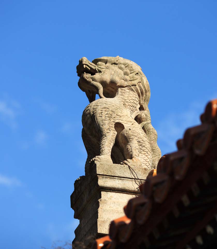 foto,tela,gratis,paisaje,fotografa,idea,Tumba Fuling ornamento de dragn, , , , 