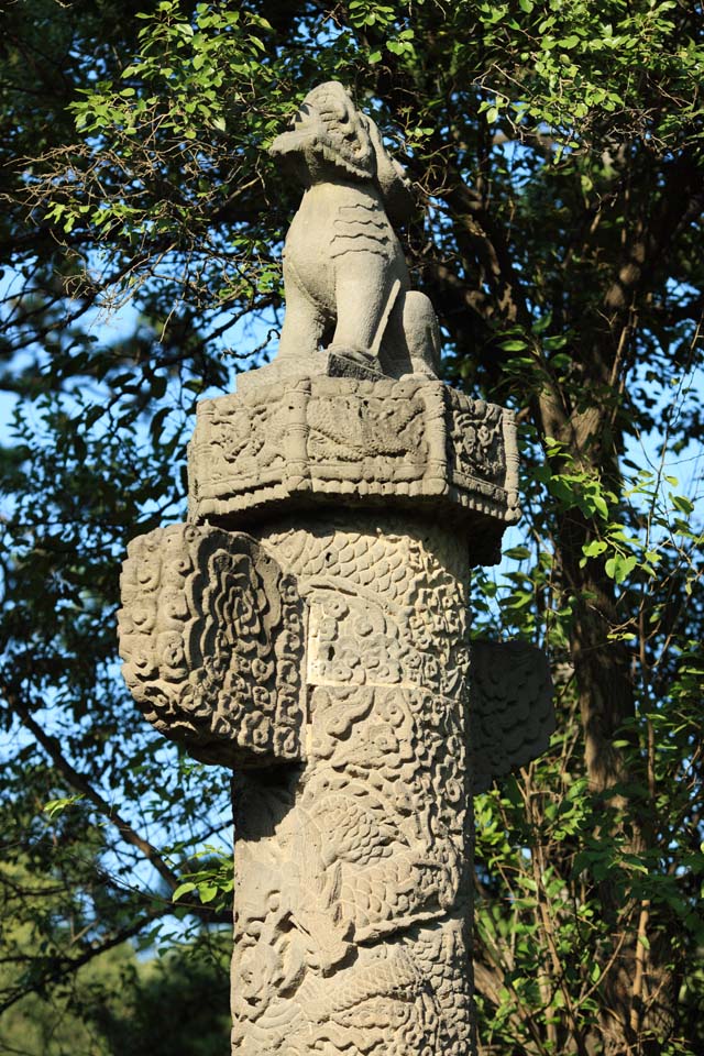 photo,material,free,landscape,picture,stock photo,Creative Commons,Fuling Tomb stone lions, , , , 