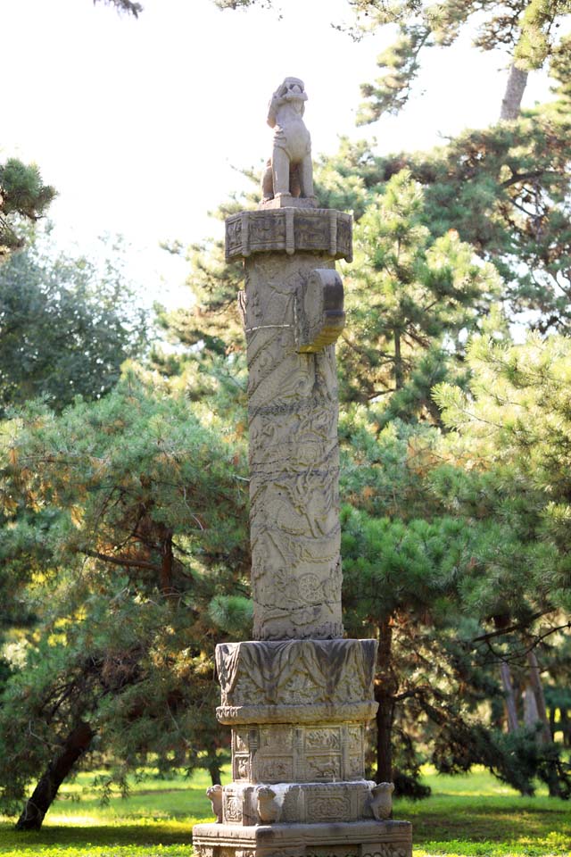 photo,material,free,landscape,picture,stock photo,Creative Commons,Fuling Tomb stone lions, , , , 