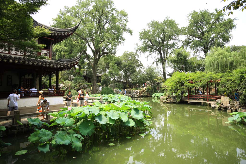 photo,material,free,landscape,picture,stock photo,Creative Commons,Lingering Garden pond, , , , 