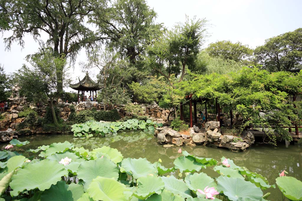 photo,material,free,landscape,picture,stock photo,Creative Commons,Lingering Garden pond, , , , 