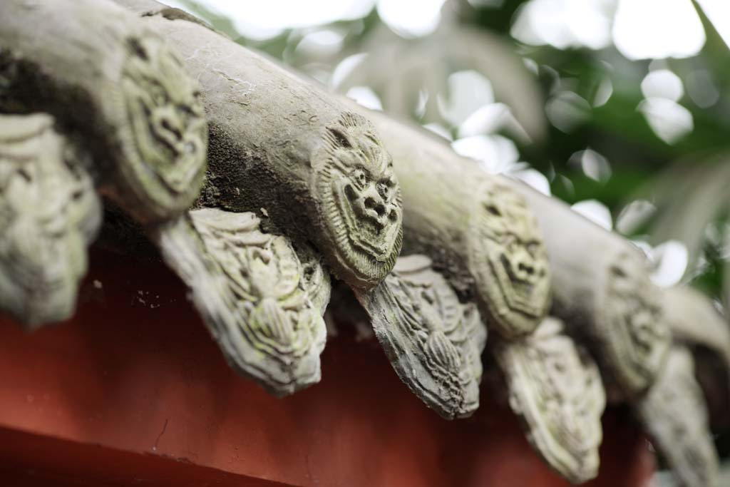 photo,material,free,landscape,picture,stock photo,Creative Commons,Wenshu Institute, , , , 