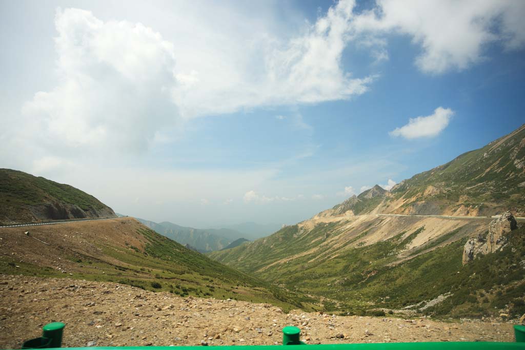 fotografia, materiale, libero il panorama, dipinga, fotografia di scorta,Thistle, , , , 