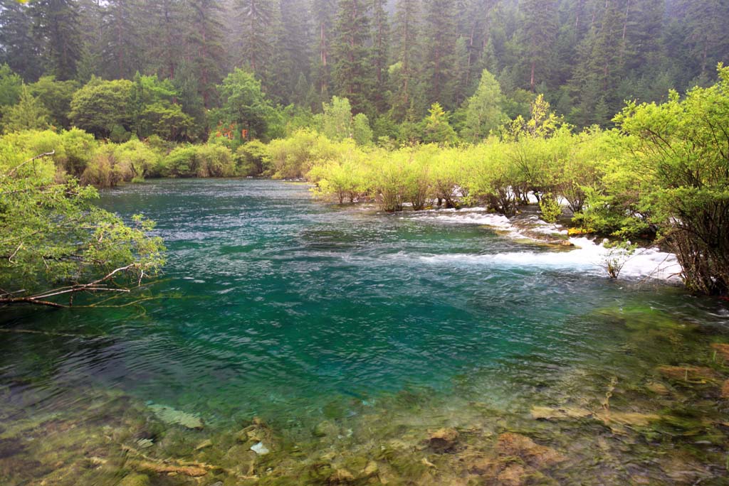 foto,tela,gratis,paisaje,fotografa,idea,Bonsai de Jiuzhaigou nada, , , , 