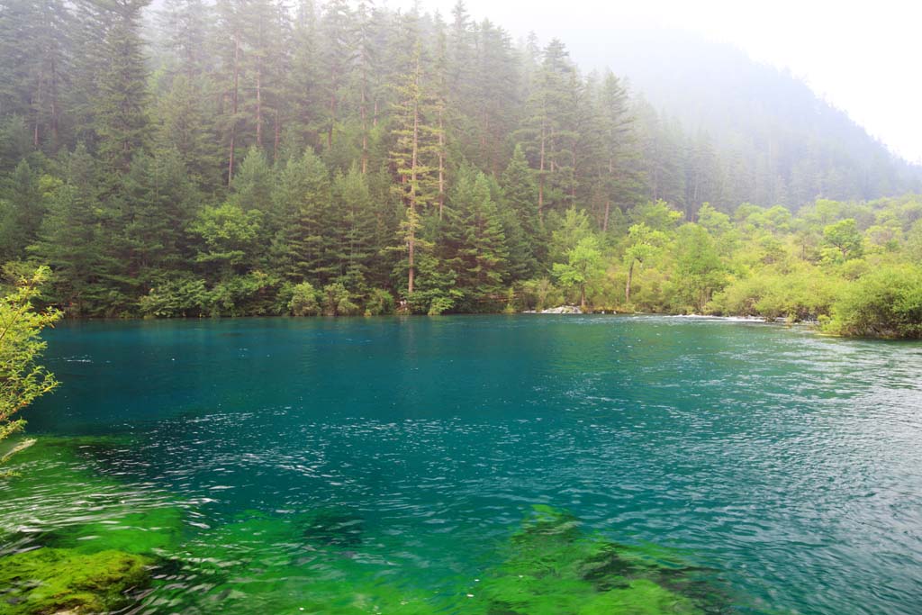 foto,tela,gratis,paisaje,fotografa,idea,Bonsai de Jiuzhaigou nada, , , , 