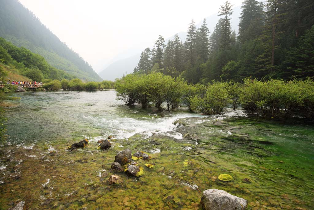 fotografia, materiale, libero il panorama, dipinga, fotografia di scorta,Bonsai Jiuzhaigou Nada, , , , 