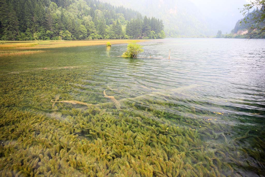 photo,material,free,landscape,picture,stock photo,Creative Commons,Jiuzhaigou Yatakeumi, , , , 