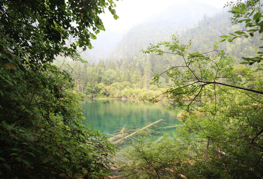 Foto, materiell, befreit, Landschaft, Bild, hat Foto auf Lager,Jiuzhaigou, , , , 