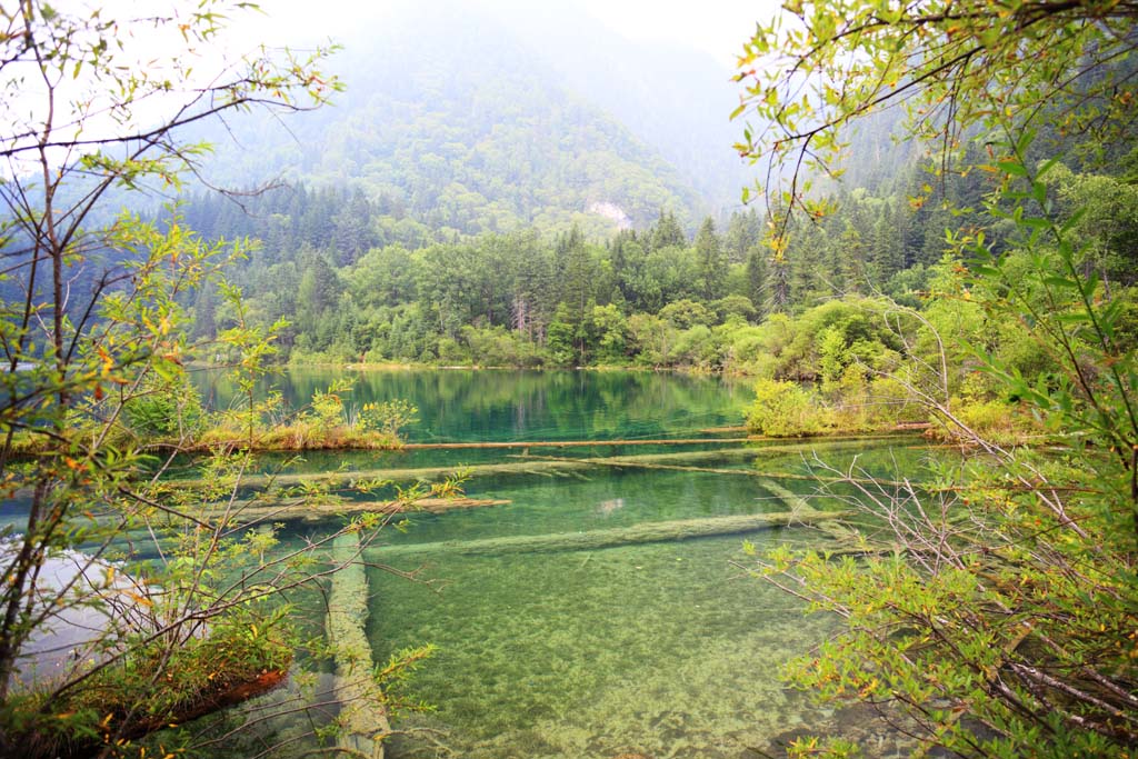 Foto, materiell, befreit, Landschaft, Bild, hat Foto auf Lager,Jiuzhaigou, , , , 