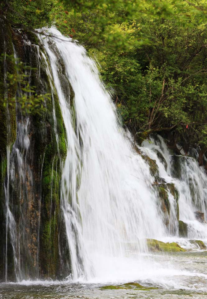 Foto, materieel, vrij, landschap, schilderstuk, bevoorraden foto,Paarden Yatakeumi waterval, , , , 