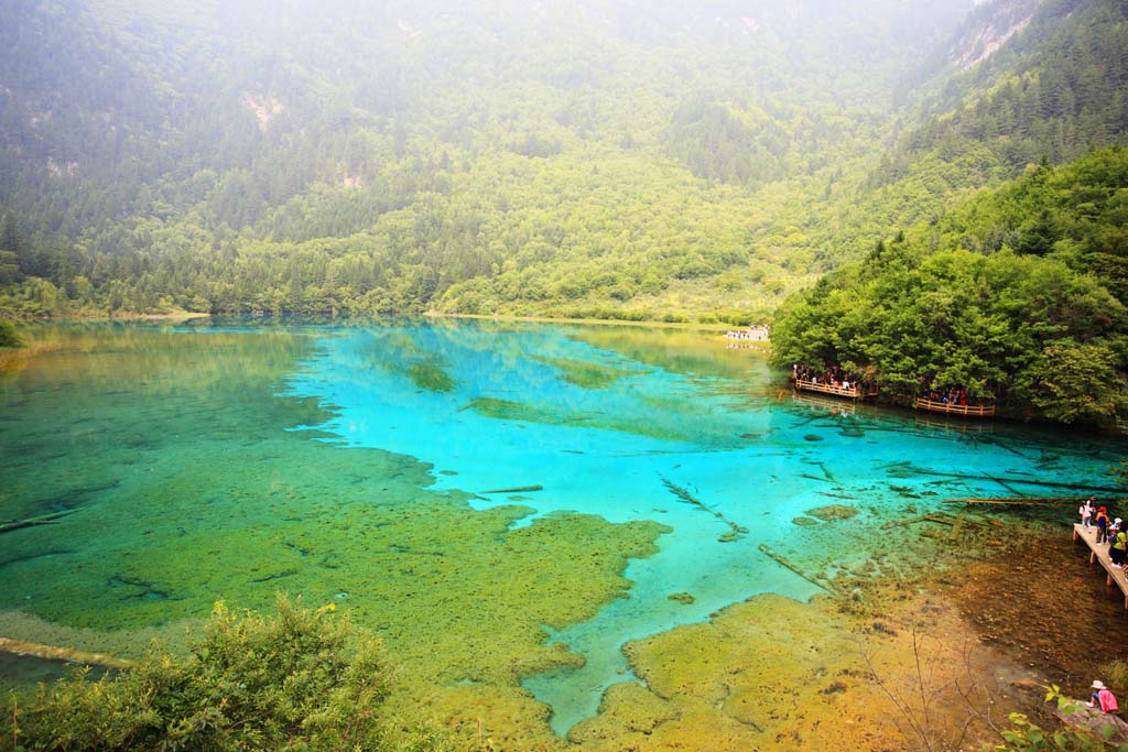 fotografia, materiale, libero il panorama, dipinga, fotografia di scorta,Gohanaumi Jiuzhaigou, , , , 