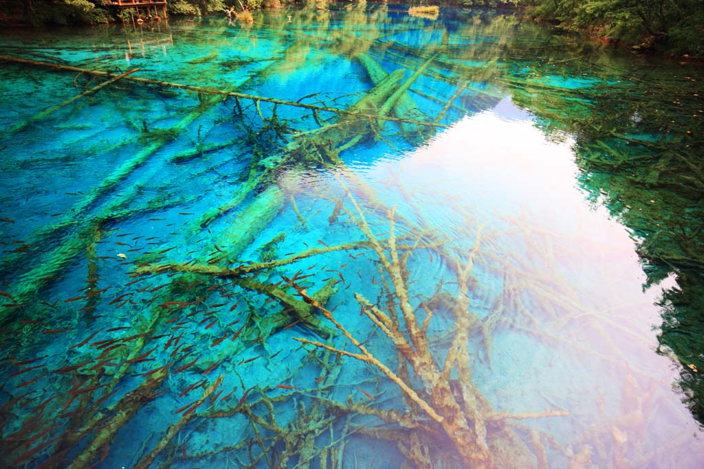 foto,tela,gratis,paisaje,fotografa,idea,De Jiuzhaigou Gohanaumi, , , , 