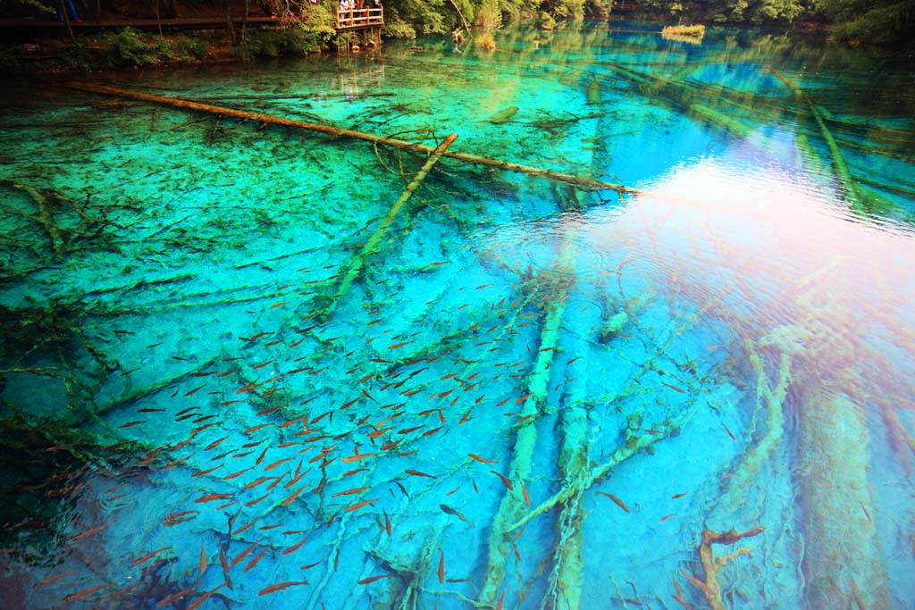 photo,material,free,landscape,picture,stock photo,Creative Commons,Jiuzhaigou Gohanaumi, , , , 