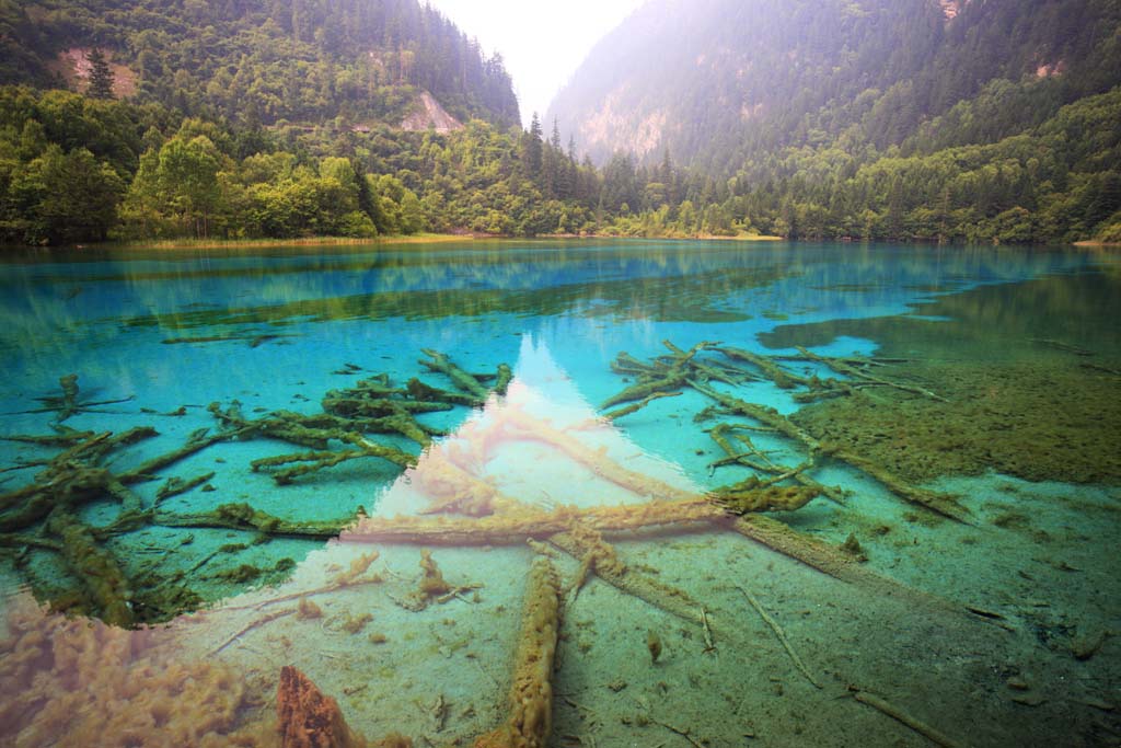 Foto, materiell, befreit, Landschaft, Bild, hat Foto auf Lager,Jiuzhaigou Gohanaumi, , , , 