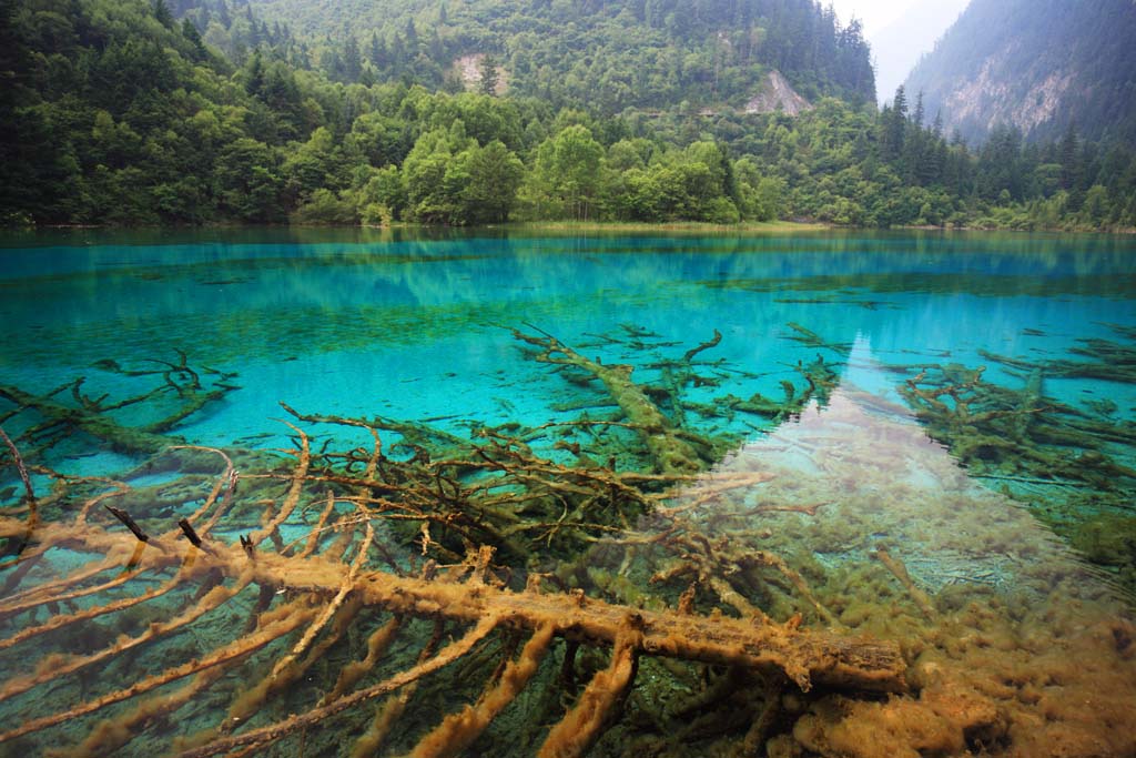 photo, la matire, libre, amnage, dcrivez, photo de la rserve,Gohanaumi Jiuzhaigou, , , , 