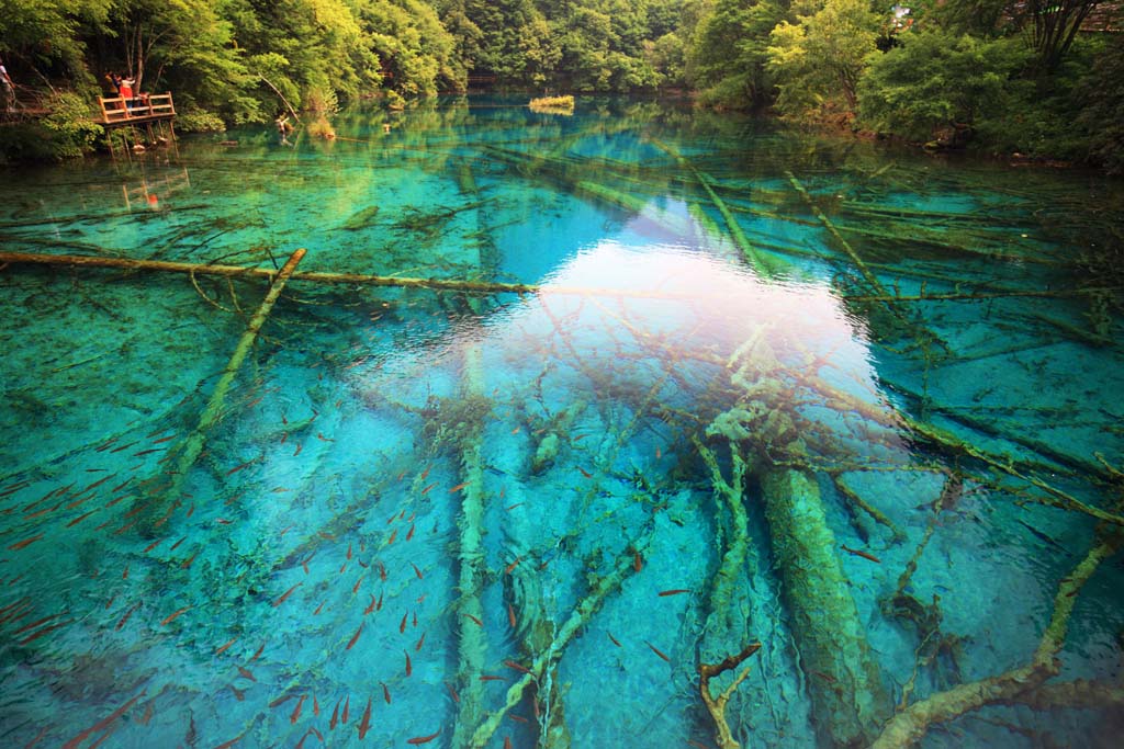 fotografia, materiale, libero il panorama, dipinga, fotografia di scorta,Gohanaumi Jiuzhaigou, , , , 