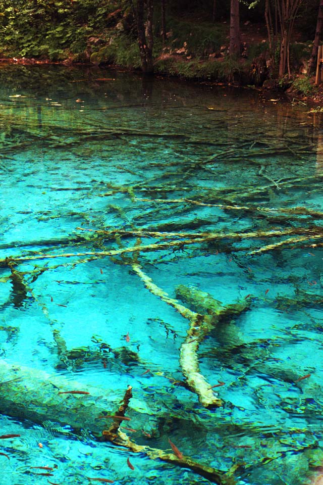 fotografia, materiale, libero il panorama, dipinga, fotografia di scorta,Gohanaumi Jiuzhaigou, , , , 