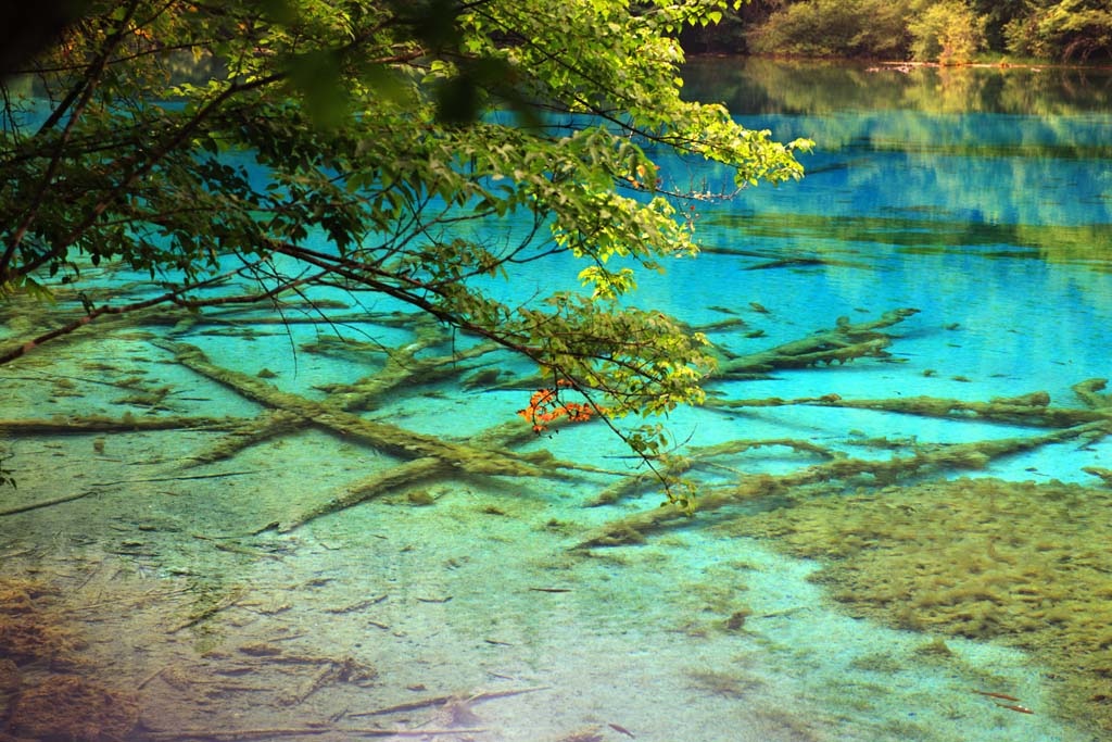 photo,material,free,landscape,picture,stock photo,Creative Commons,Jiuzhaigou Gohanaumi, , , , 