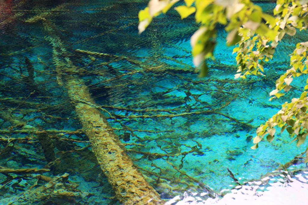 Foto, materiell, befreit, Landschaft, Bild, hat Foto auf Lager,Jiuzhaigou Gohanaumi, , , , 