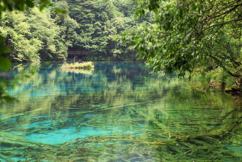 photo, la matire, libre, amnage, dcrivez, photo de la rserve,Gohanaumi Jiuzhaigou, , , , 