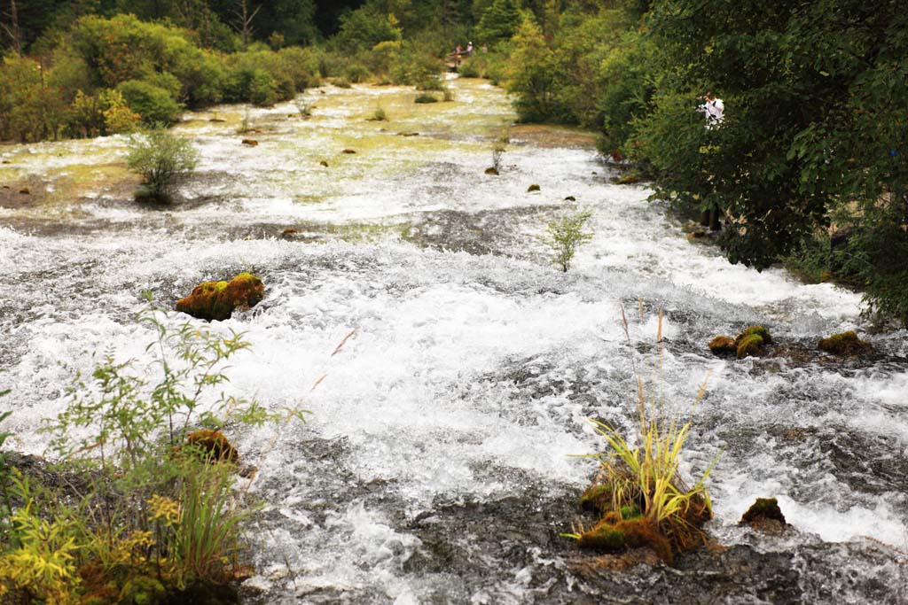 foto,tela,gratis,paisaje,fotografa,idea,De Jiuzhaigou Chintamanada, , , , 