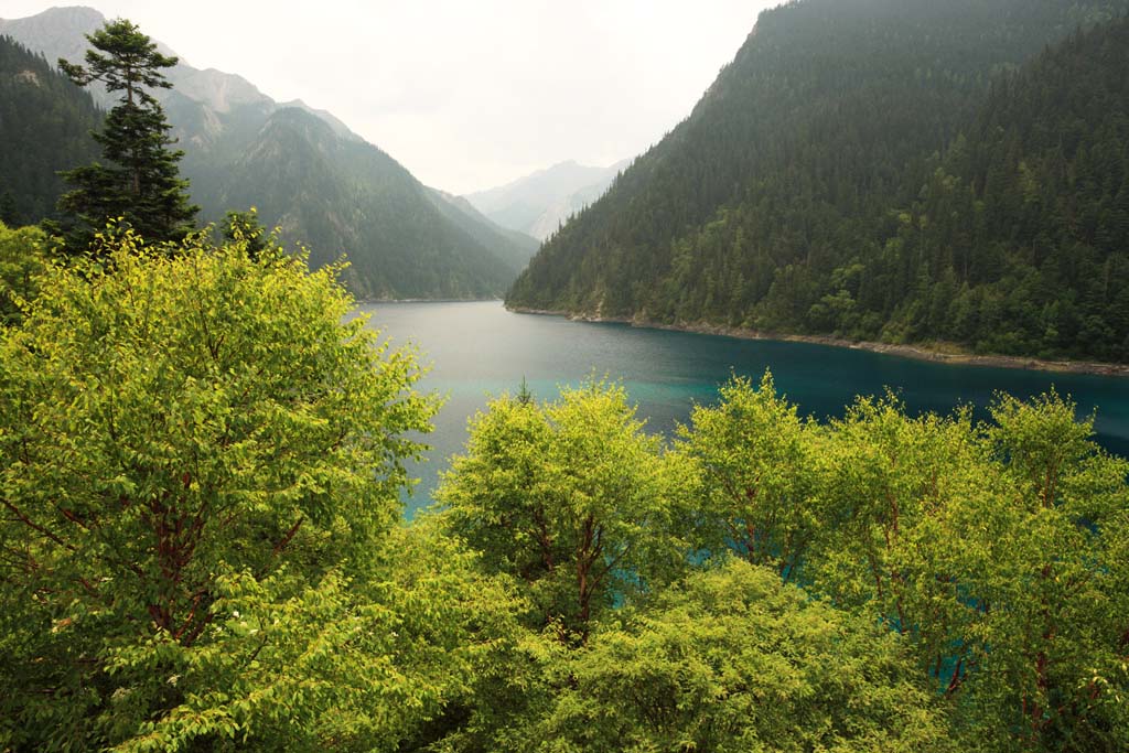 fotografia, materiale, libero il panorama, dipinga, fotografia di scorta,Changhai Jiuzhaigou, , , , 