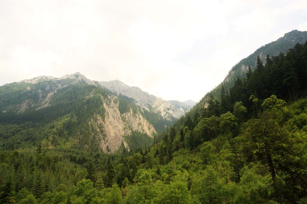 fotografia, materiale, libero il panorama, dipinga, fotografia di scorta,Jiuzhaigou cinque colori stagno, , , , 