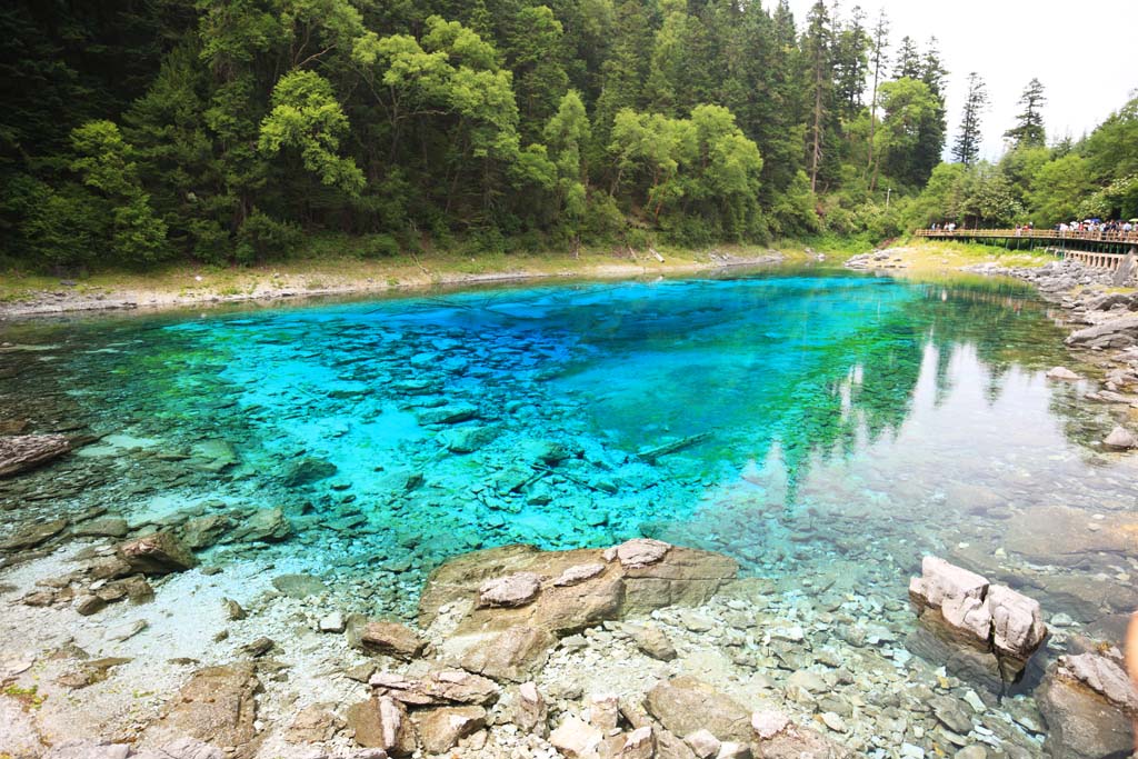 foto,tela,gratis,paisaje,fotografa,idea,Cinco colores de Jiuzhaigou estanque, , , , 