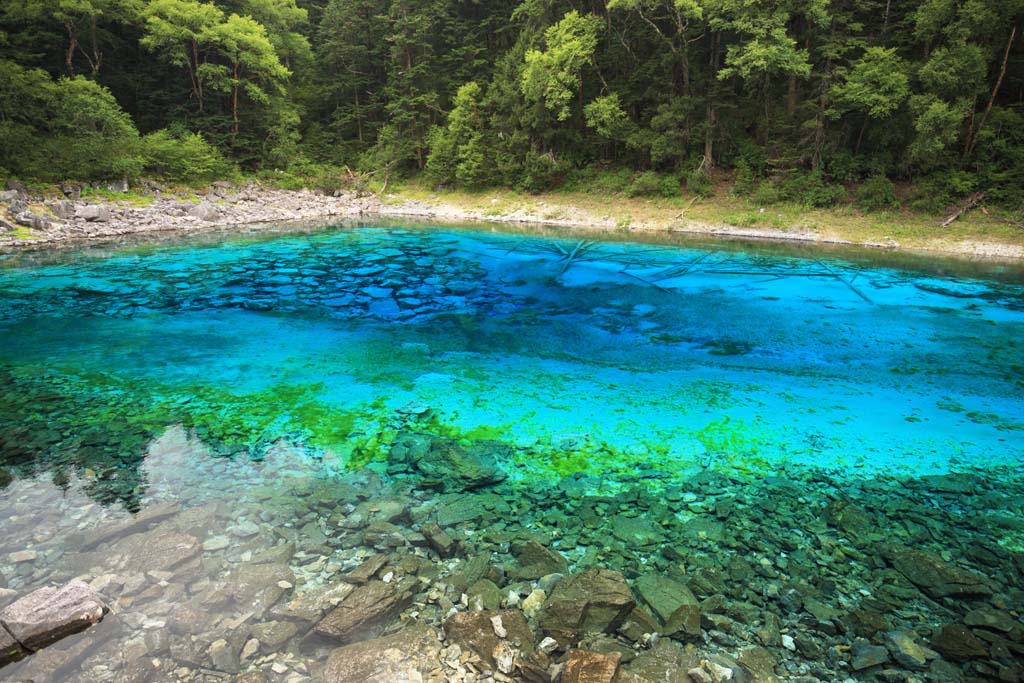 photo,material,free,landscape,picture,stock photo,Creative Commons,Jiuzhaigou five colors pond, , , , 