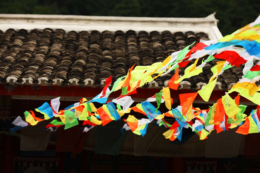 fotografia, materiale, libero il panorama, dipinga, fotografia di scorta,Tarucho Jiuzhaigou, , , , 