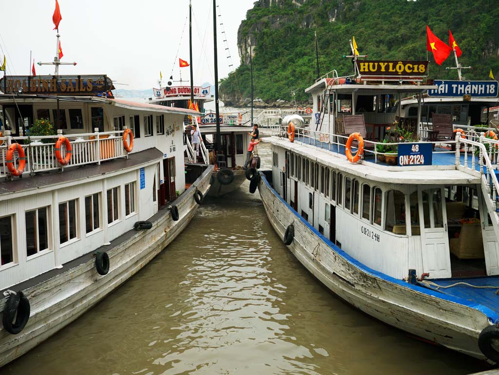 Foto, materiell, befreit, Landschaft, Bild, hat Foto auf Lager,Halong Bucht Daugo Insel, , , , 