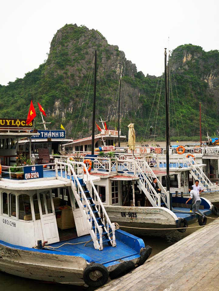 Foto, materieel, vrij, landschap, schilderstuk, bevoorraden foto,Halong Bay Daugo eiland, , , , 