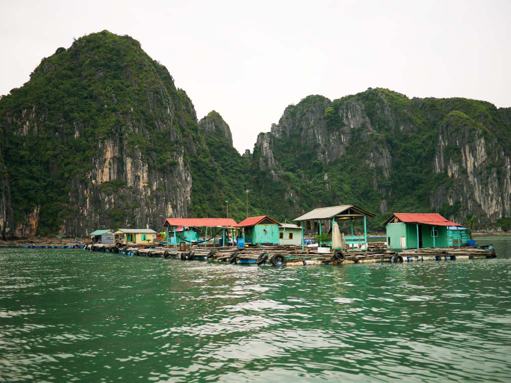 Foto, materieel, vrij, landschap, schilderstuk, bevoorraden foto,Halong Bay Maritime huis, , , , 