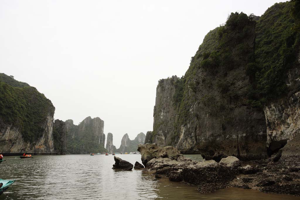 fotografia, materiale, libero il panorama, dipinga, fotografia di scorta,Halong Bay, , , , 