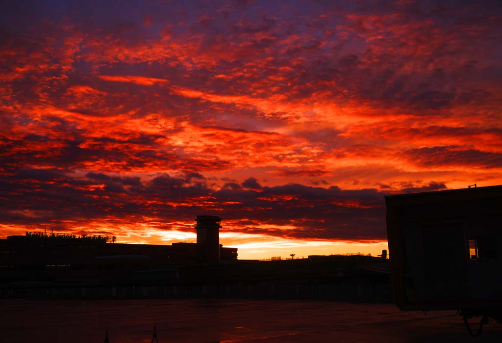 photo,material,free,landscape,picture,stock photo,Creative Commons,Narita Airport of sunset, , , , 