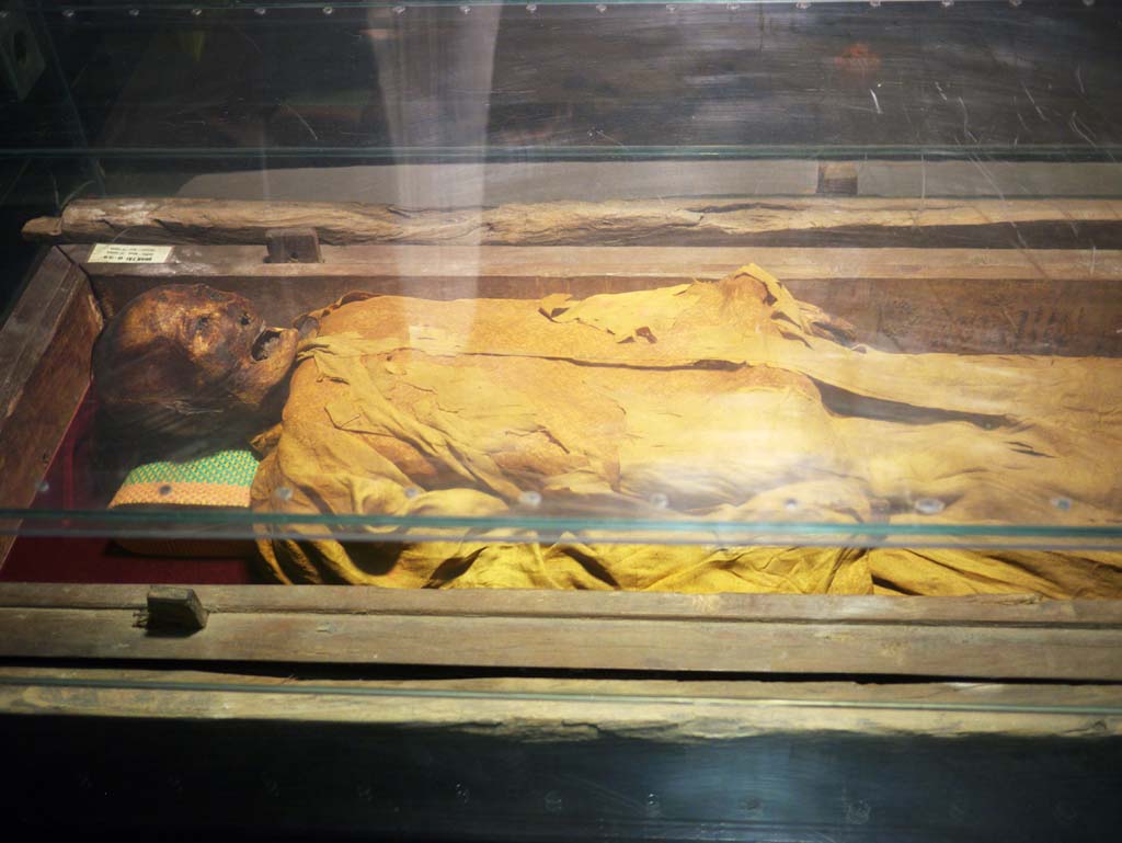 fotografia, materiale, libero il panorama, dipinga, fotografia di scorta,Museo della mummia, , , , 