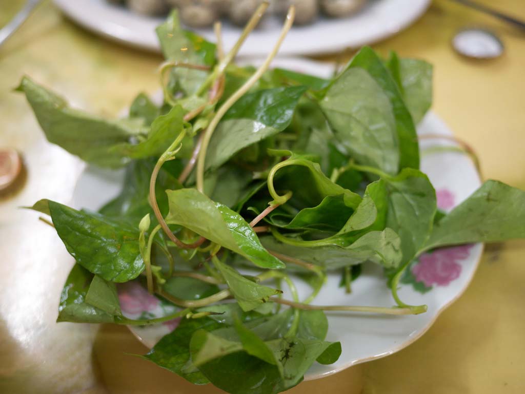 Foto, materieel, vrij, landschap, schilderstuk, bevoorraden foto,Dokudami salade, , , , 