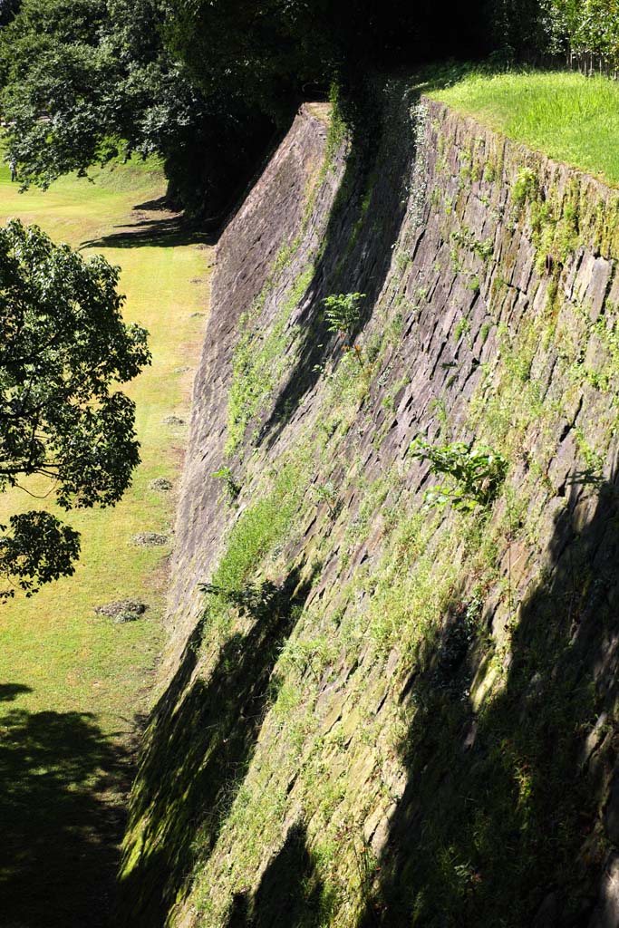 foto,tela,gratis,paisaje,fotografa,idea,En el castillo de Kumamoto, , , , 