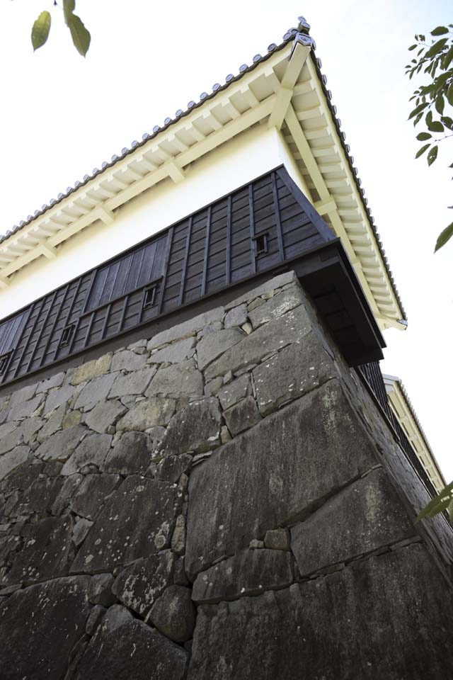 foto,tela,gratis,paisaje,fotografa,idea,En el castillo de Kumamoto, , , , 