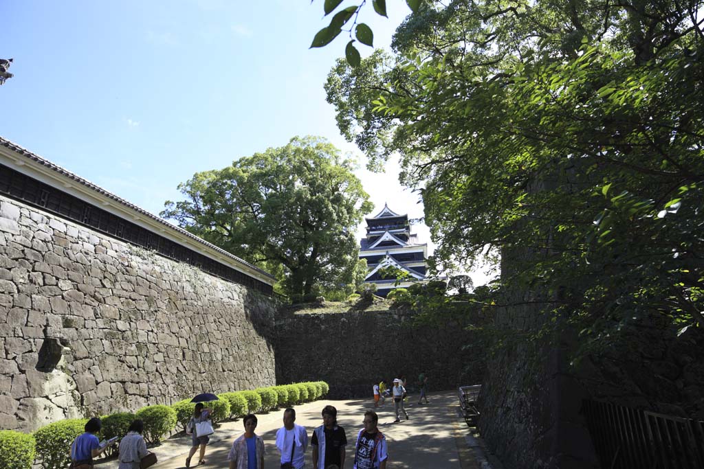 fotografia, materiale, libero il panorama, dipinga, fotografia di scorta,Al Castello di Kumamoto, , , , 