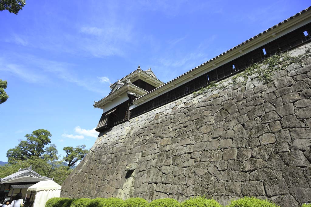 photo,material,free,landscape,picture,stock photo,Creative Commons,At Kumamoto Castle, , , , 