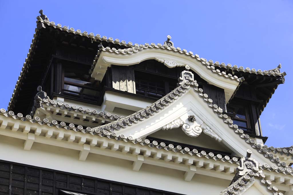 Foto, materieel, vrij, landschap, schilderstuk, bevoorraden foto,In Kumamoto Castle, , , , 