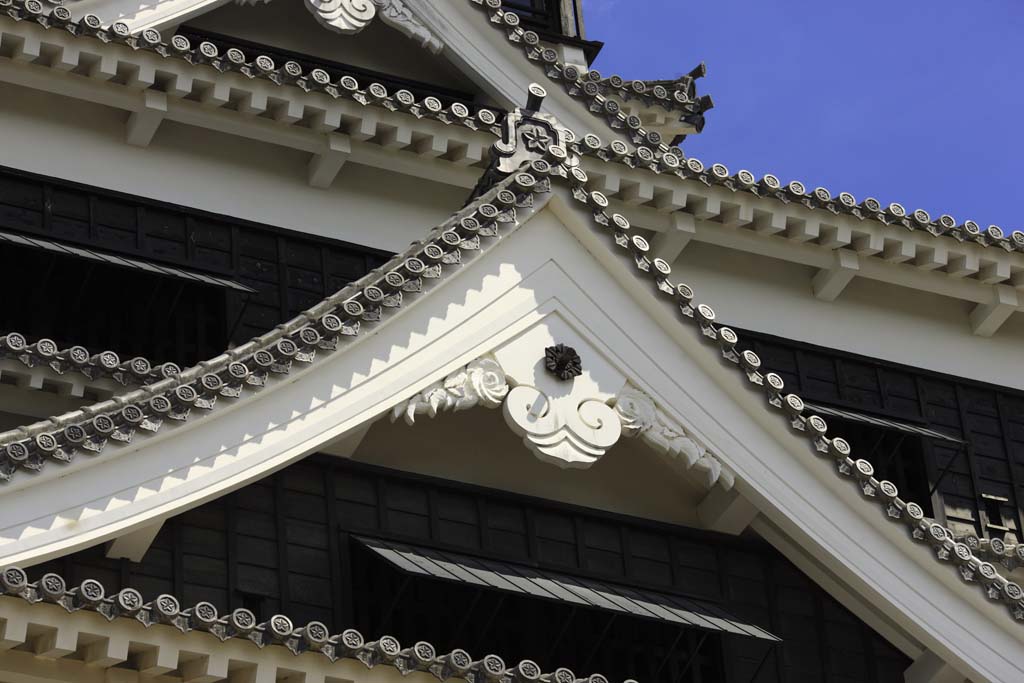 fotografia, materiale, libero il panorama, dipinga, fotografia di scorta,Al Castello di Kumamoto, , , , 